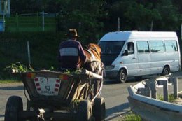 В Молдове телеги будут ездить с государственными номерами