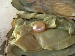 Удивительная находка: жемчужина в завтраке