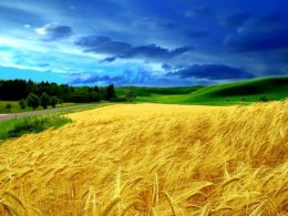 После 2015 года Украина как государство может исчезнуть