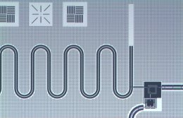 Ученые научились манипулировать светом на сверхпроводящем чипе