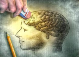 Чем питаться, чтобы была хорошая память