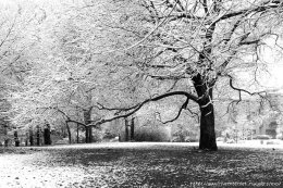 В Украину возвращаются весенние морозы