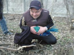 Из-за блудного попугая чуть не подрались одесситки (ФОТО)