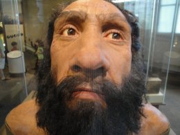 Ученые рассказали, почему вымерли неандертальцы