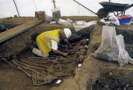 В Лондоне раскопали братскую могилу жертв бубонной чумы