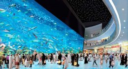 Во что превратятся торговые центры в эпоху интернета