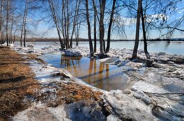 Стало известно, когда в Украину придет настоящая весна