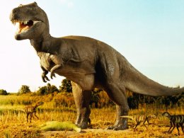 Испанские ученые обнаружили несколько сотен залежей яиц динозавров