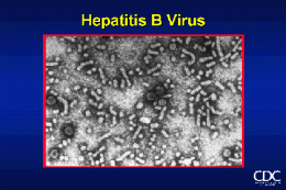 2 млрд жителей Земли инфицированы вирусом гепатита В