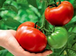 Когда полезные продукты приносят вред
