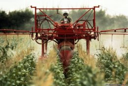 В каких продуктах пестицидов больше всего (ФОТО)