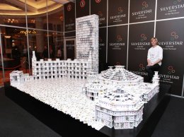 Маэстро карточных домиков (ФОТО+ВИДЕО)