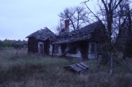 Село-призрак Борутино: 11 жителей, автопарк круче некуда, а пчелы - как в Киевской Руси (ФОТО)