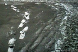 В Киевской области выпал аномальный серый снег (ФОТО)