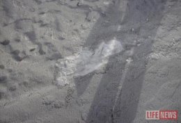 В Киевской области выпал аномальный серый снег (ФОТО)