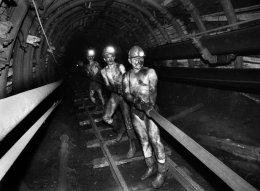 На Донетчине называют реформы Януковича вредными