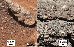 Марсоход «Кьюриосити» опять нашел жизнь на Марсе (ФОТО)