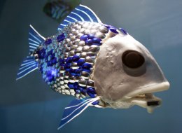 Команда автономных роботов-рыб будет очищать порты и устья рек (ФОТО)