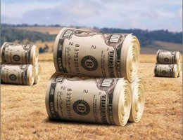 Саудовская Аравия скупает землю в Украине