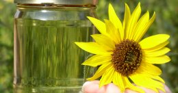 Как получить биотопливо в домашних условиях