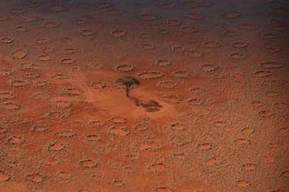Таинственные пятна на полях Намибии (ФОТО)