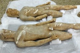 Семь необычных предметов, изъятых таможней по всему миру (ФОТО)