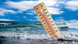 Кто спасет Землю от глобального потепления? (ФОТО)