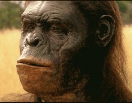 Палеонтологи подтвердили родство человека с древними приматами (ФОТО)