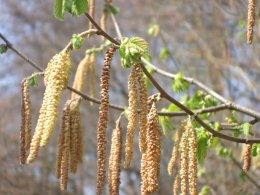 Погода в Украине на вторник, 16 апреля