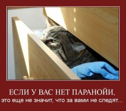 Если у вас нет паранойи, это еще не значит, что за вами никто не следит...