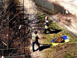 В Чернигове надругались над государственным флагом Украины