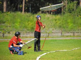 Под музыку Штрауса "Голубой Дунай" самолеты танцевали вальс (ВИДЕО)