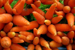 Морковь и рак: какая связь?