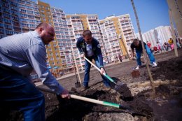 Сын Януковича озеленил Киев (ФОТО)