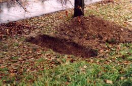 На войне как на войне: пытки током и сырой могилой