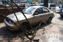 На Европейской площади веткой дерева привалило автомобиль
