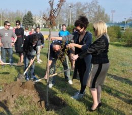 Звезды украинской эстрады взялись за лопаты (ФОТО)