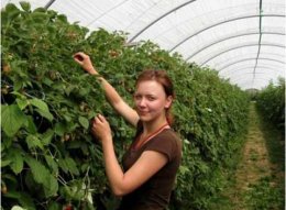 Где и как заработать украинским студентам этим летом