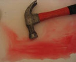 Жена убила мужа и скормила собакам