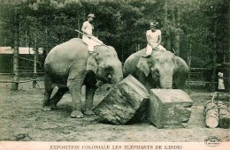 Каких-то 100 лет назад темнокожих показывали в зоопарках (ФОТО)