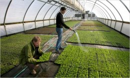 Украинцы готовы оставить офисную работу и заняться фермерством (ФОТО)