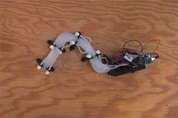 Пневматический робот, который передвигается как змея