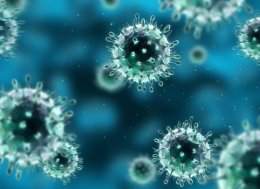 Китайские ученые решили вывести новый вирус гриппа