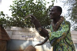 Ежегодный фестиваль вуду в Бенине (ФОТО)