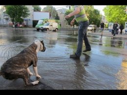 Из-за порыва водопровода в Житомире нет воды