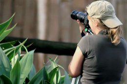 В Верховной Раде хотят ввести уголовную ответственность за незаконное видеонаблюдение (ВИДЕО)