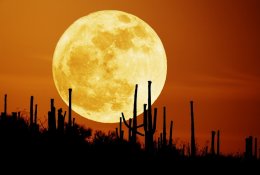 Ученые опровергли официальную теорию появления Луны