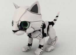 Как превратить обычного кота в киборга-шпиона