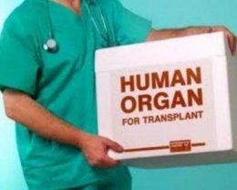 Каждый украинец - потенциальный донор органов