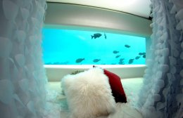 Первый в мире подводный SPA-салон открыли на Мальдивах (ФОТО)